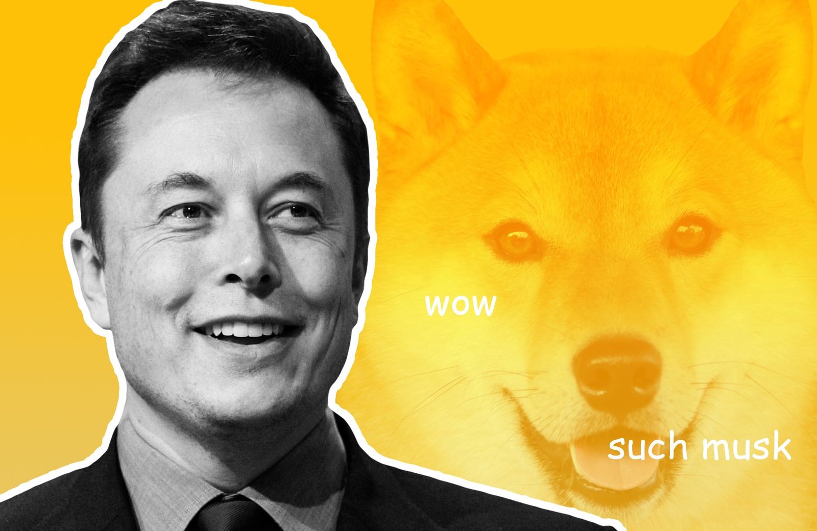 Elon Musk Leaving Doge Behind For New Dog Coin?